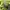 Stussy Streetwear Hoody Pria green photo 6
