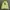 Stussy Streetwear Hoody Pria green photo 1