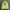 Stussy Streetwear Hoody Pria Green