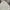 Avirex Vintage Hoody Pria gray photo 2