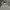 Converse Streetwear Hoody Pria gray photo 3