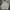 Converse Streetwear Hoody Pria gray photo 1