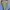 Salomon Sportswear Puffer jacket Pria blue photo 3