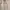 Le Coq Sportif Sportswear Track jacket Pria white blue photo 2