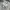 Nike Casual Sneakers Pria multicolor white photo 1