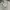 Nike Casual Sneakers Pria multicolor white photo 2