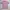 Columbia Sportswear Casual Polo shirt Pria white pink photo 6