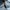 Sportswear Casual Casual shirt Pria white blue photo 7