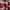 Lolita Casual Sweater Wanita burgundy black photo 4