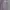 Burberry Vintage Casual Polo shirt Pria purple white photo 1