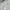 Casual Formal pants Pria tan photo 4