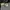 The North Face Casual Puffer jacket Pria black gray photo 3
