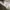 Vintage Pria white photo 6