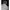 Pancoat Streetwear Sweater Pria Multicolor Gray