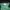 Vintage Pria green photo 4