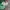 Vintage Pria green photo 3