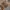 Timberland Casual Boots Pria tan photo 5