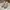 Onitsuka Tiger Casual Sneakers Pria white tan photo 2