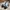Adidas Casual Sneakers Pria white black photo 2