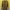 Minimalist Casual Suit Pria tan photo 1