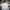 Lacoste Casual Reworked Fleece Pria white photo 1