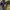 Stussy Vintage Avant Garde Bag Pria yellow photo 2