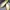 Minimalist Flat Wanita blue yellow photo 1