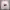 KIRSH Casual Sweater Pria pink photo 1