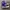 Converse Skater Sneakers Pria purple photo 1