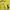 Polo Ralph Lauren Vintage Luxury Shirt Wanita Yellow