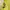 Polo Ralph Lauren Vintage Luxury Shirt Wanita yellow photo 3
