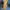 Luxury Minimalist Prom dress Wanita multicolor photo 1