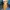 Luxury Minimalist Prom Dress Wanita Multicolor