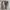 Nike Sportswear Sneakers Pria white photo 3