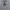 Casual Sweatshirt Pria gray photo 2
