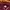 Casual Hoody Pria burgundy photo 3