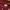 Casual Hoody Pria burgundy photo 4