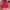 GAP Streetwear Sportswear Hoody Pria pink photo 1