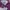 Hurley Casual Hoody Pria purple photo 2