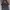 Adidas Vintage Vest Pria black photo 1