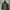 Kolon Sport Gorpcore Sportswear Puffer jacket Pria green photo 7