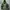 Kolon Sport Gorpcore Sportswear Puffer jacket Pria green photo 1