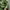Kolon Sport Gorpcore Sportswear Puffer jacket Pria green photo 5