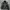 Kolon Sport Gorpcore Sportswear Puffer jacket Pria green photo 2