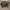 Louis Vuitton Casual Shoulder bag Wanita brown photo 4
