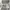 Adidas Casual Sweater Pria gray photo 6