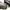 Luxury Dress shoe Pria brown photo 8