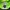 Ellesse Biker Windbreaker Pria white green photo 5