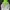 Ellesse Biker Windbreaker Pria white green photo 2