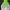 Ellesse Biker Windbreaker Pria White Green